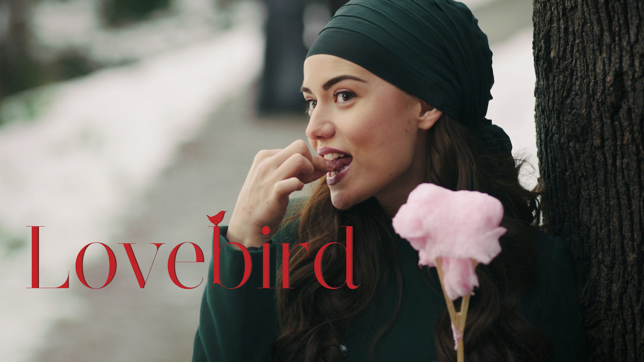 Is �Love Bird� on Netflix UK? Where to Watch the Series