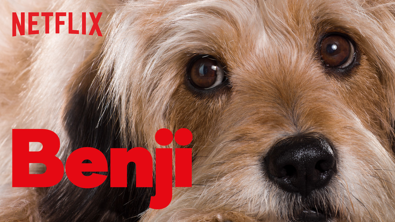 Is 'Benji' (2018) available to watch on UK Netflix - NewOnNetflixUK