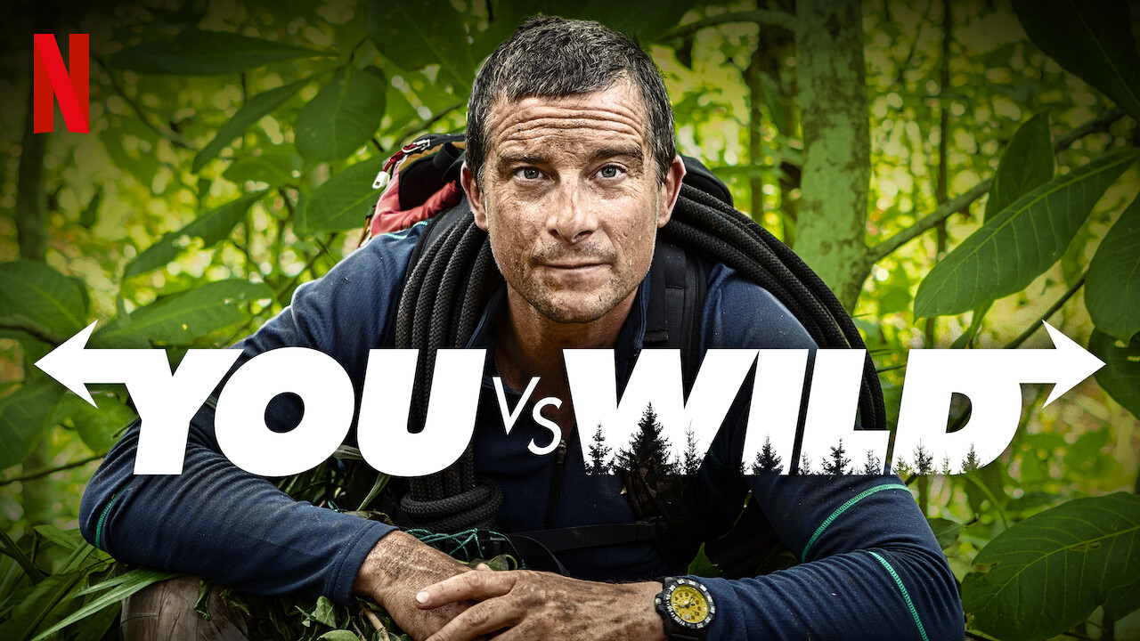 you vs wild on netflix